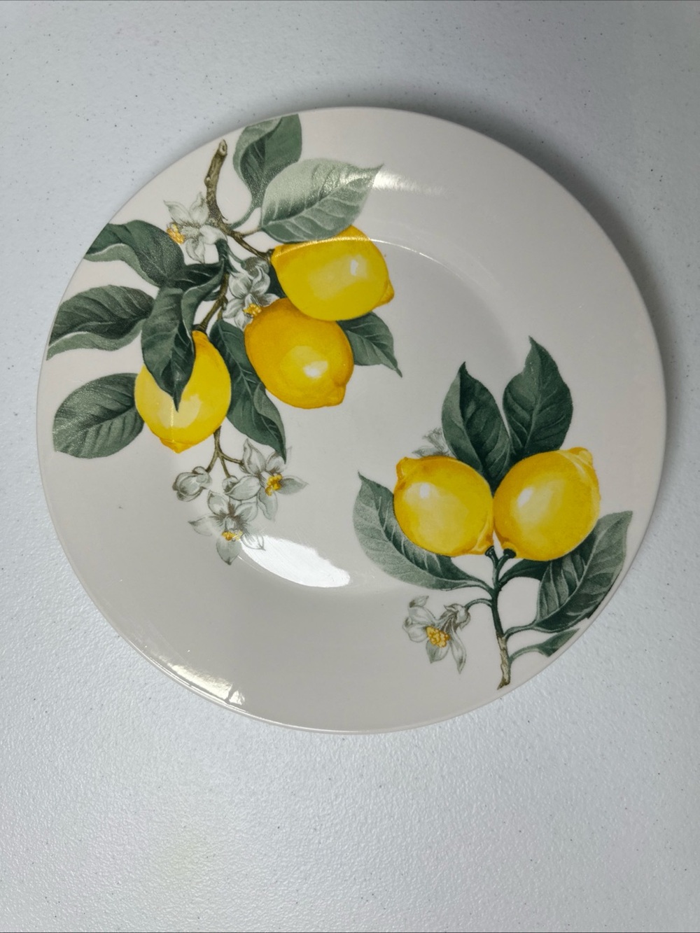 Royal Norfolk Yellow Lemon Botanical Dinner Plate